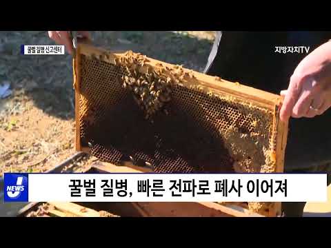 평창군, 꿀벌 질병 신고센터 운영