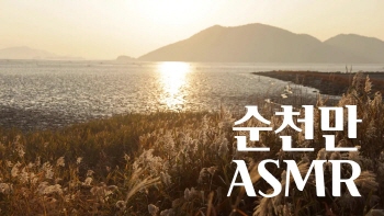 순천만 1부 1hours Relaxing ASMR
