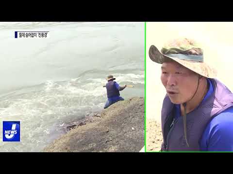 진도 울돌목…뜰채 숭어잡이 ‘진풍경’ 연출
