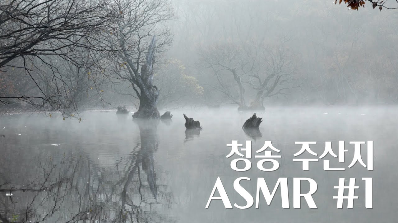 청송 주산지 1부 1hours Relaxing ASMR