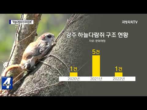 “하늘다람쥐가 우리집에”…청정 무등산