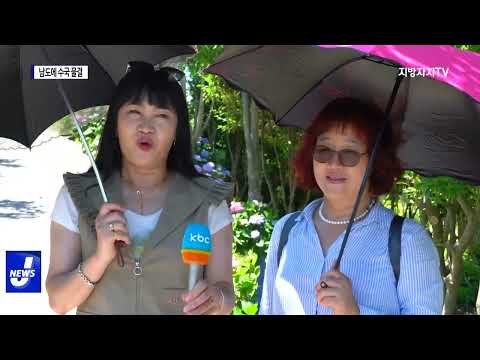 남도 곳곳이 ‘수국 천지’