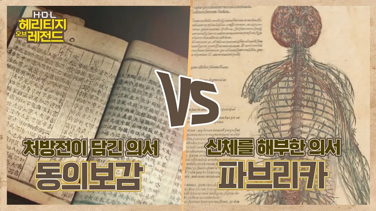 동의보감VS파브리카