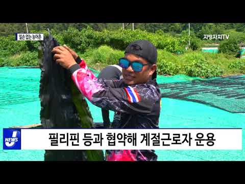 일손 없는 농어촌…‘계절 근로자 숨통’