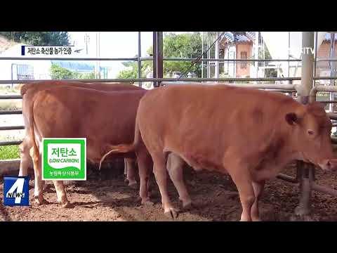 횡성군, 저탄소 축산물 농가 인증
