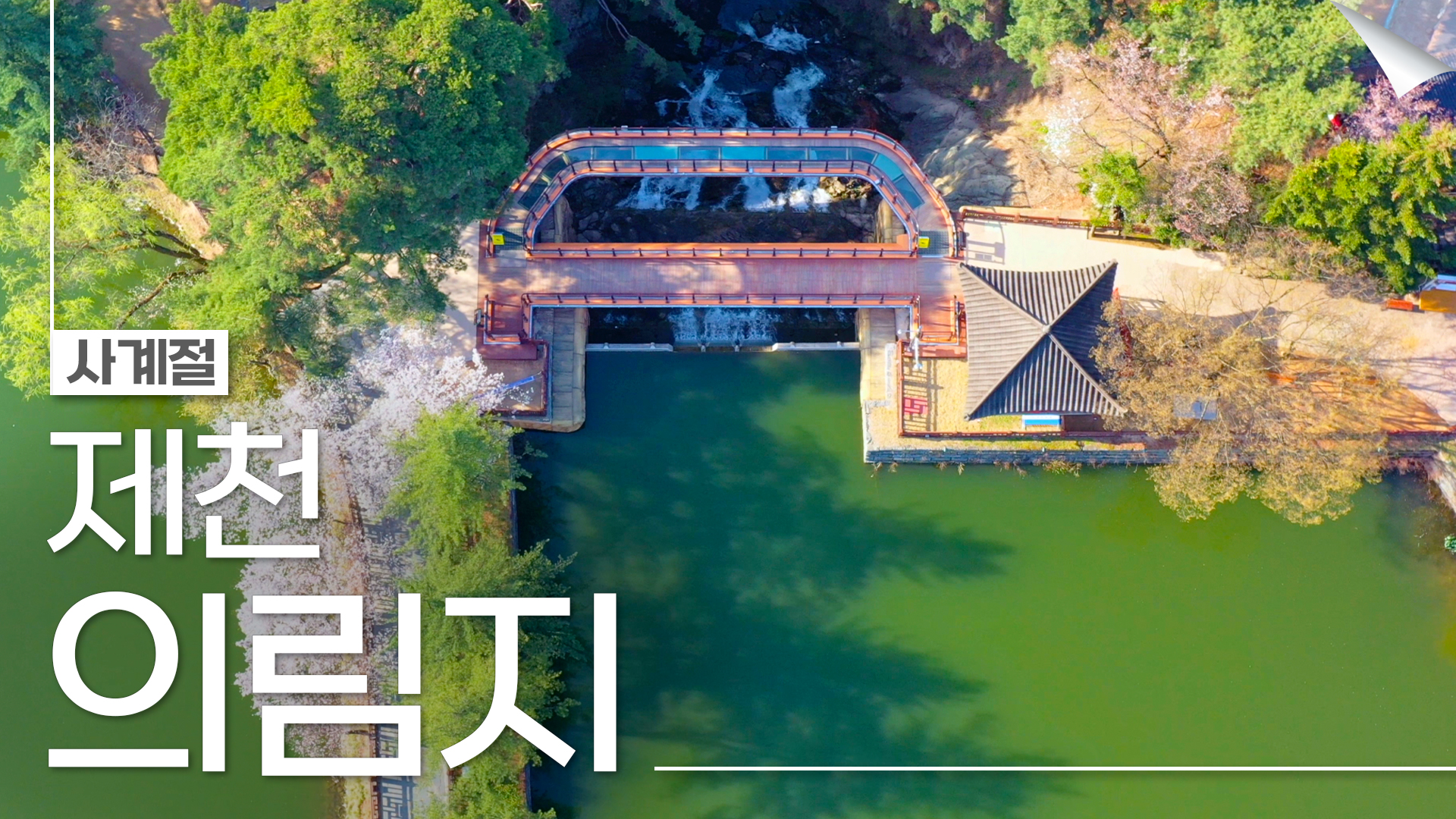 제천 의림지와 제림의 사계