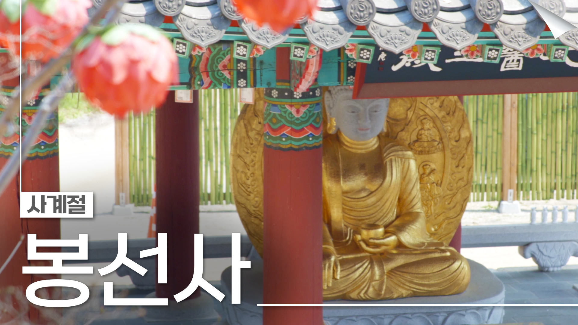 세조를 기리는 천년고찰-봉선사의 사계