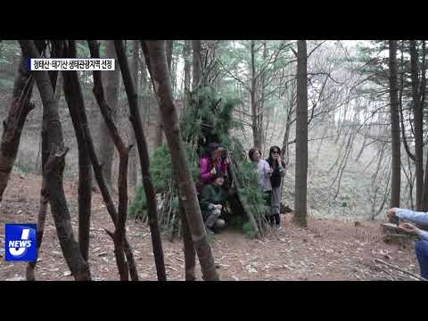 환경부, 횡성 청태산·태기산 생태관광지역 선정