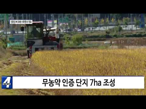 평창군, 친환경 벼 재배 수확 행사 개최