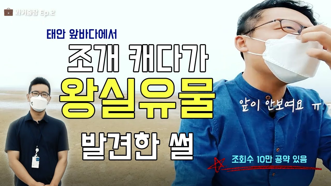 과거출장 ep.2 태안 앞바다 장식기와 유물 발굴 현장을 가다(feat. 조회수 10만 공약 있음)