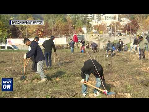 횡성군, 2024 강원 동계청소년올림픽 성공 기원 나무 심기