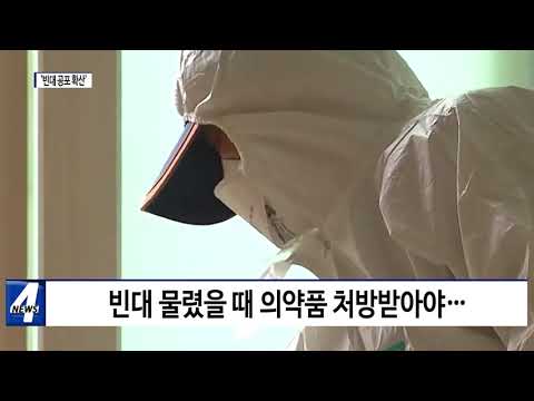 전국에 '빈대 공포 확산'…대처법은?