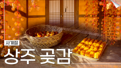 하늘 아래 첫 감나무-상주전통곶감농업의 사계