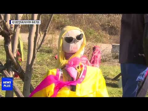 횡성군, 제16회 밤두둑 허수아비 축제 개최