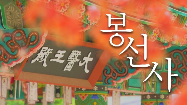 연꽃 품은 큰법당 봉선사의 사계(여름과 가을)