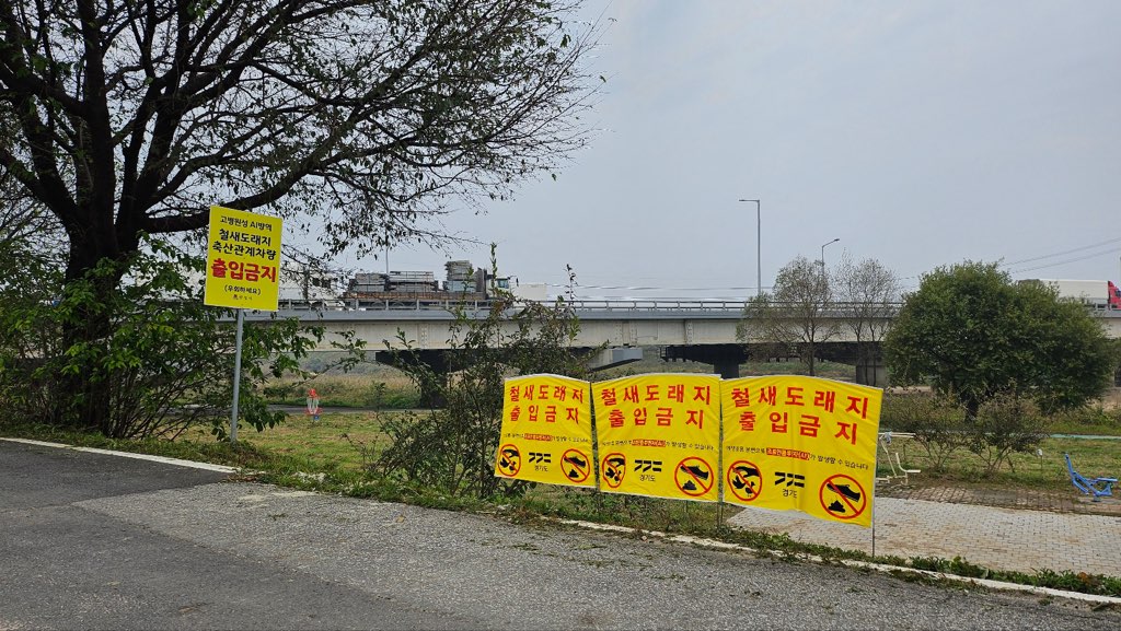 경기도, 고병원성 AI 위기단계 ‘주의→심각’으로 격상…도내 유입방지에 총력