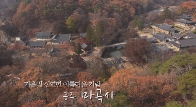 가을빛 선연한 아름다운 가람, 공주 마곡사