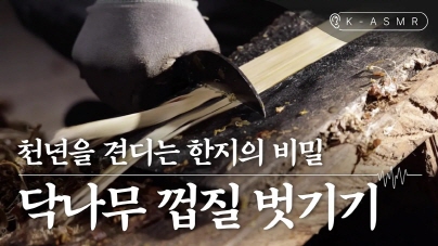 한지장 닥나무 껍질 벗기기