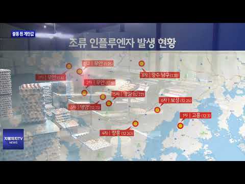 조류AI 무안서 또 검출…계란값 ‘들썩’