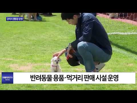 마포구, 강아지 캠핑장 운영