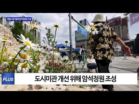 동대문구, 경동시장 일대 암석정원 조성