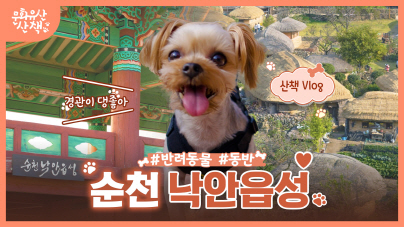 [VLOG] 강아지랑 조선시대로 타임슬립한 건에 대하여 (feat. 순천 낙안읍성)