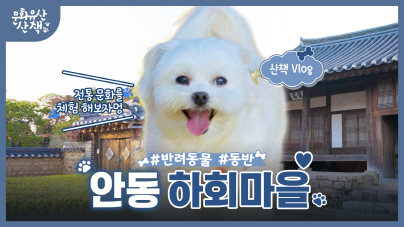 [VLOG] 종갓집 양반 강아지랑 마을 순방 한 바퀴 (feat. 안동 하회마을)