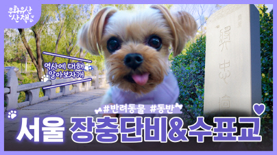 [VLOG] 서울 도심 산책 핫플 속 역사 기행 브이로그 (feat. 장충단비 & 수표교)