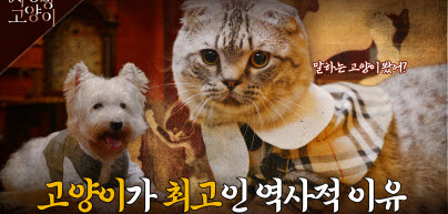 고양이 이야기 한번 들어볼래? : 우리나라 역사 속 고양이 이야기