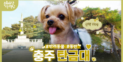 [VLOG] 홍보맨 보고 찾아온 숨은 명당 산책 브이로그 (feat. 충주 탄금대)