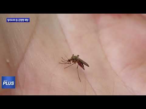 동대문구, 말라리아 등 감염병 예방 집중