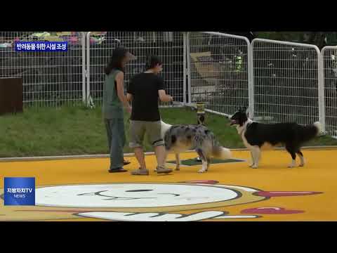 마포구, 반려동물 위한 시설 조성