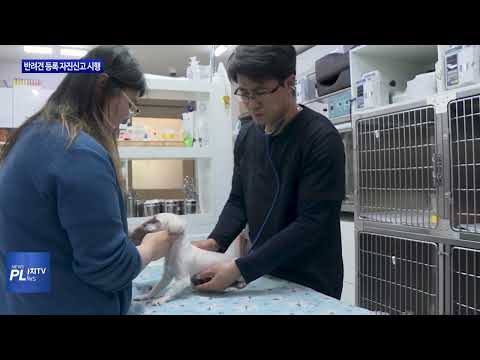 동대문구, 반려견 등록 자진신고 시행