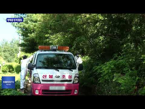 평창군, 병해충 방제 활동 진행