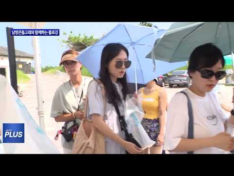 ‘2024 남방큰돌고래와 함께하는 플로깅’ 행사 개최