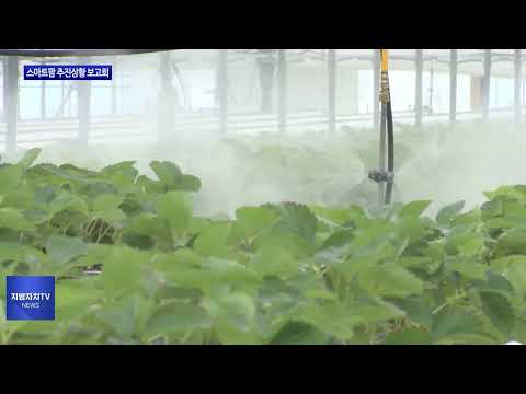 충북도, 스마트팜 조성 추진상황 보고회