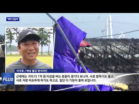 희비 엇갈린 김 vs 전복·굴비