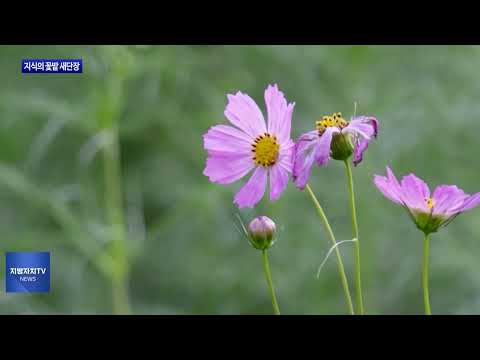 동대문구, 지식의 꽃밭 새단장