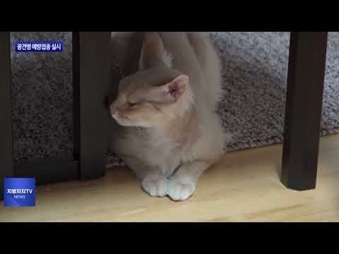 동대문구, 광견병 예방접종 실시