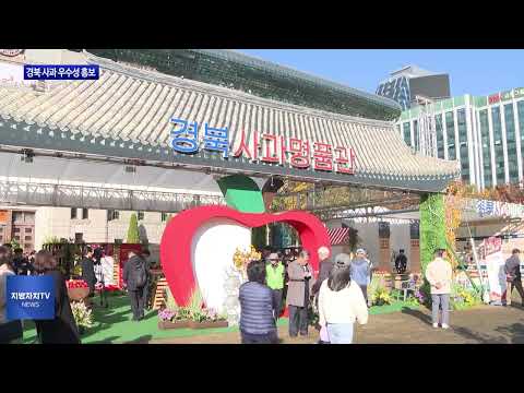 가을축제 ‘절정’…‘강·해·영’ 뜬다