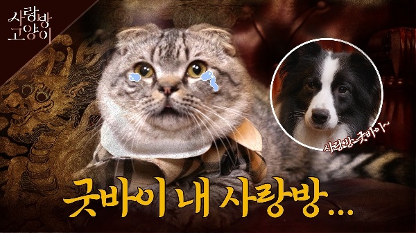 죽음을 초월한 영원한 동반자 : 우리나라 역사 속 상징적인 동물 이야기