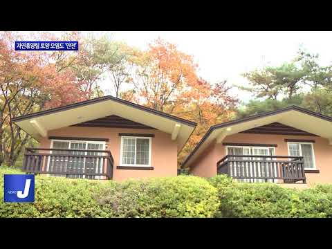 충북도, 자연휴양림 토양 오염도 ‘안전’