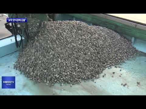 “꼬막 양식장에 김을”…보성, 첫 김 양식