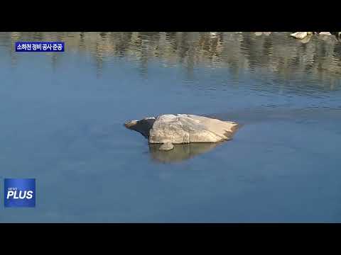 평창군, 소하천 정비 공사 준공