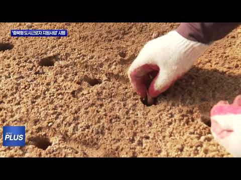 ‘충북형 도시근로자 지원 사업’ 시행