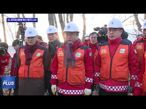 경북도, 소나무재선충병 확산 방지 나서