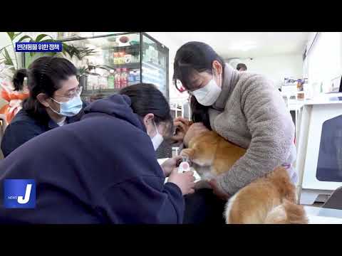 동대문구, 반려동물 위한 정책 추진