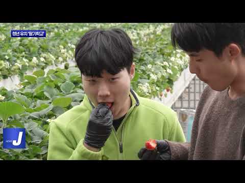 영농창업 돕고 청년 유치하는 신안군 ‘딸기학교’