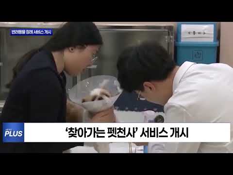 마포구, 반려동물 장례 서비스 개시