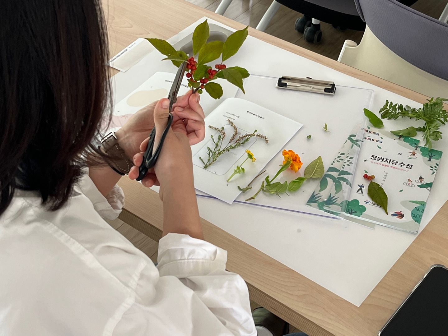 정원치유로 외로움 없는 서울… 3월부터 '서울형 정원처방' 전면 확대